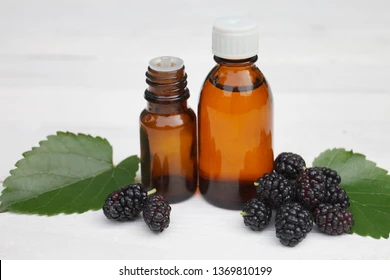 MULBERRY  OIL